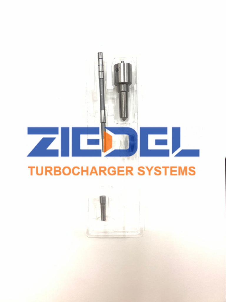 Common Rail Fuel Injector Repair kit 0950001520, 0950001520 Ziedel