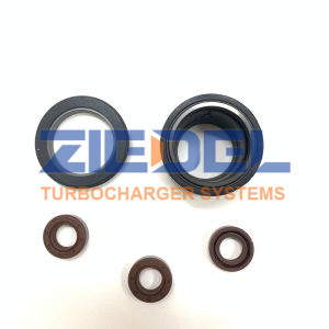 Fuel Pump Oil Seal 4307242, 4087997, 4076753, 2897672 Suitable for QSK23 Cummins Engine