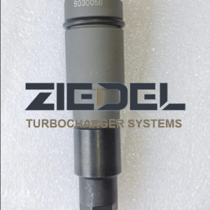 Common Fuel Injector B03005B For Delphi