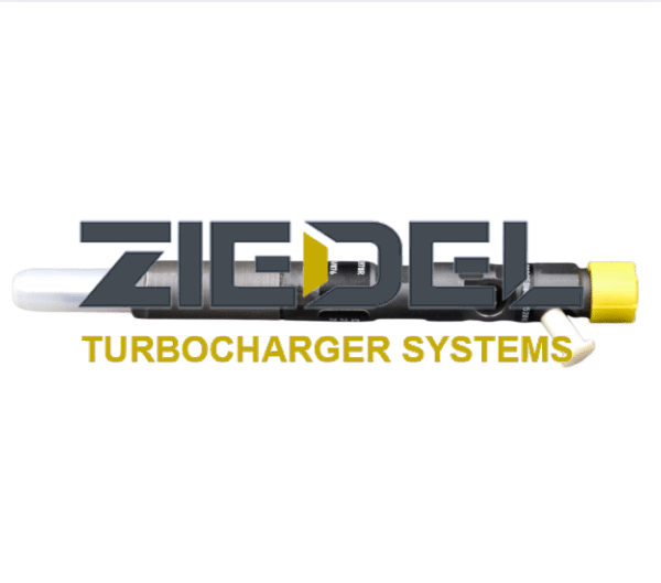 Common Rail Fuel Injector 9001-872A For Delphi