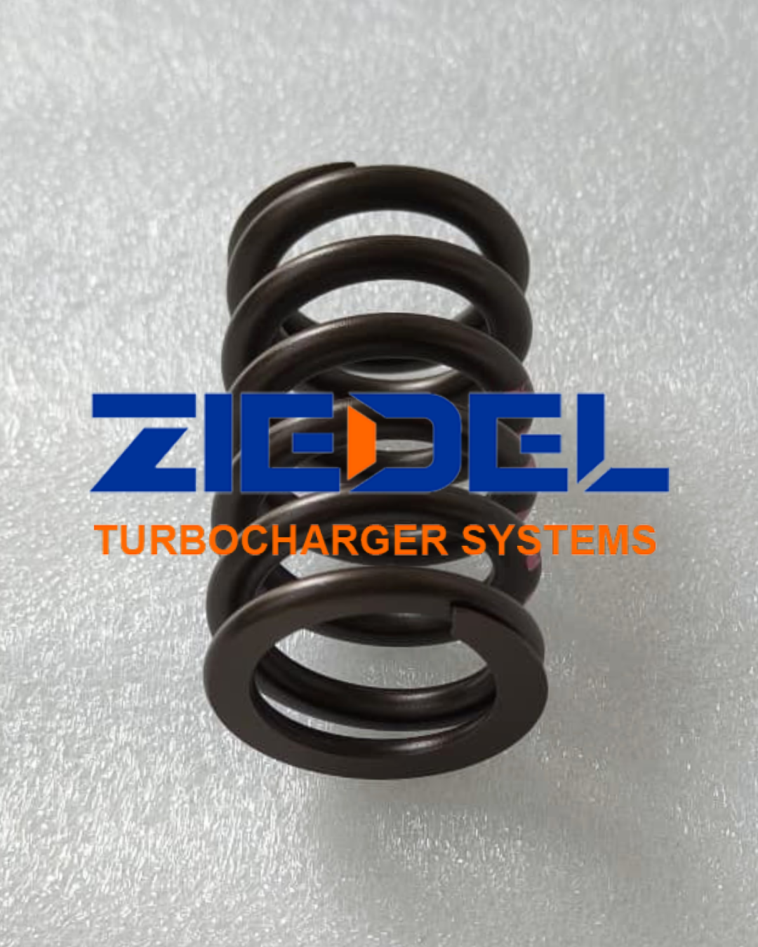 valve-spring-5591415-suitable-for-cummins-qsl9-engine